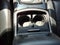 2016 Chrysler 300 300S Alloy Edition